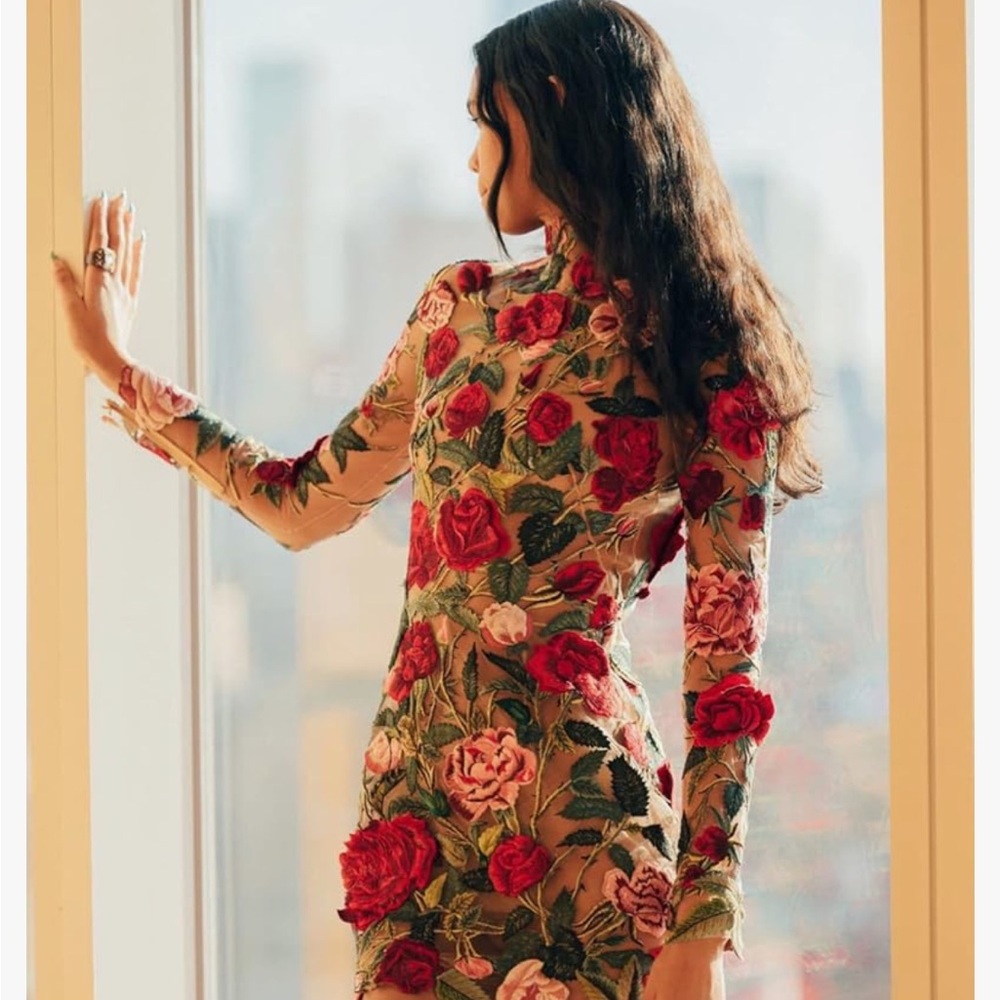 Floral Embroidery Mesh Round Neck Cocktail Party Mini Dress Long Sleeve Bodycon